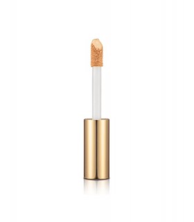 STAY PERFECT COVERAGE CORRETTORE LIQUIDO |STANHOME SHOP ONLINE