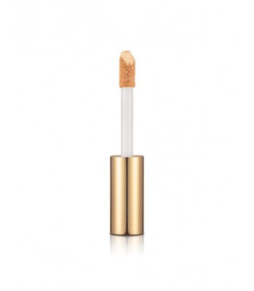 Stay Perfect Liquid Concealer | Stanhome Shop Online