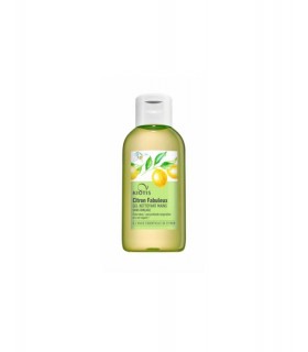 GEL DETERGENTE MANI AL LIMONE |STANHOME ONLINE