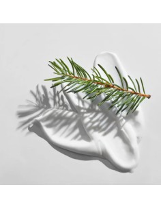 Set 2 Of Kiotis Cedar Facial Moisturizer |Stanhome Shop Online 2