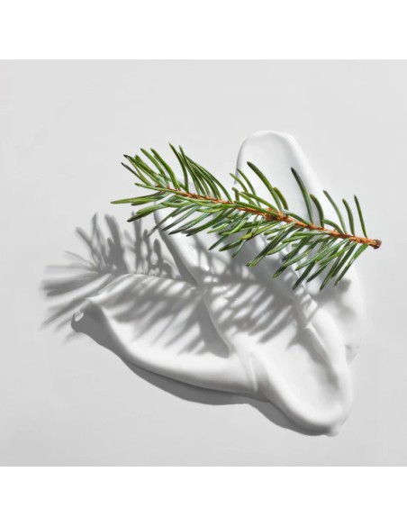 Set 2 Of Kiotis Cedar Facial Moisturizer |Stanhome Shop Online