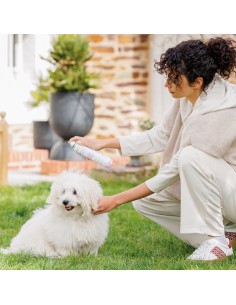 Dog Dry Shampoo| Stanhome Shop Online 2