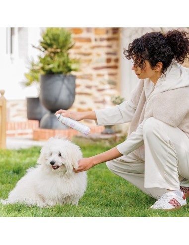 Dog Dry Shampoo| Stanhome Shop Online