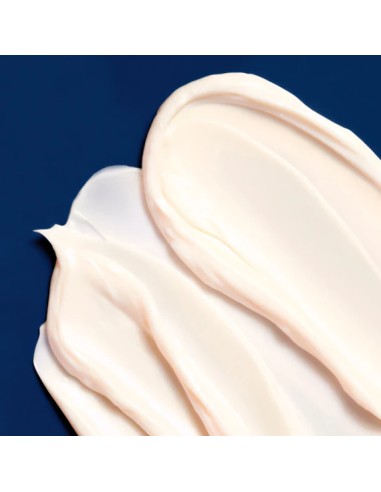 Supreme Regeneration Night Cream Dr Pierre Ricaud |Stanhome Shop Online