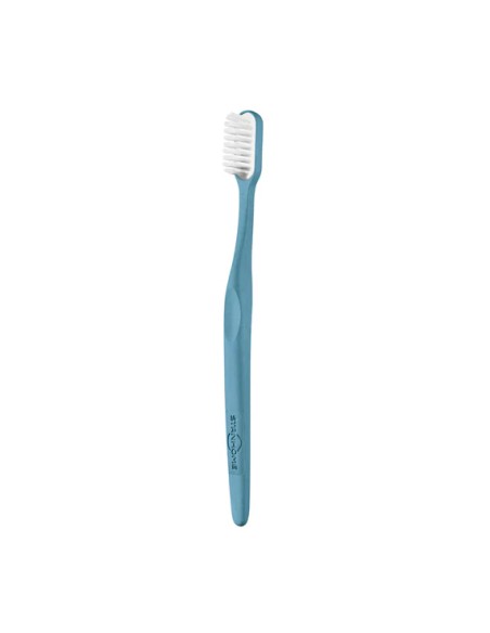 Soft Bristle Toothbrush Replacement Head|Stanhome Shop Online