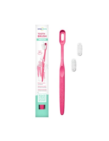 Soft Bristle Toothbrush Replacement Head|Stanhome Shop Online