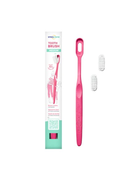 Soft Bristle Toothbrush Replacement Head|Stanhome Shop Online