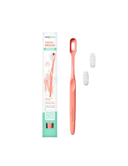 Soft Bristle Toothbrush Replacement Head|Stanhome Shop Online
