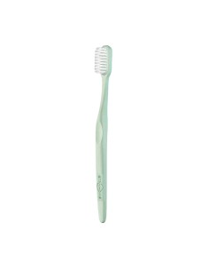 Soft Bristle Toothbrush Replacement Head Green|Stanhome Shop Online