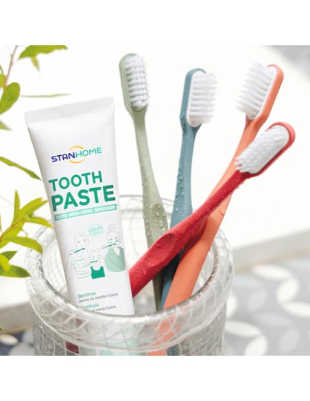 Tooth Paste 75ML | Stanhome Online