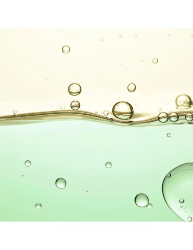 Anti-Wrinkle Bi-Phase Elixir | Stanhome Shop Online