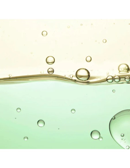 Anti-Wrinkle Bi-Phase Elixir | Stanhome Shop Online