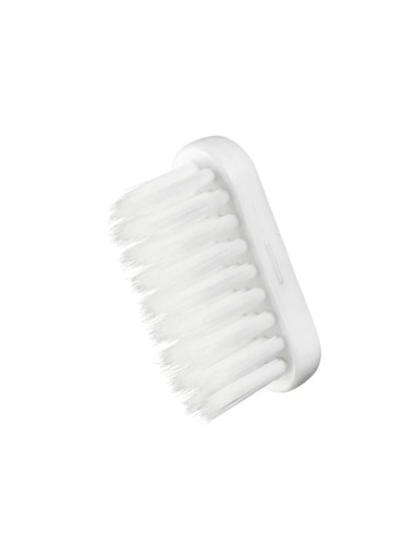 Medium Bristle Toothbrush Replacement Heads | Stanhome Shop Online