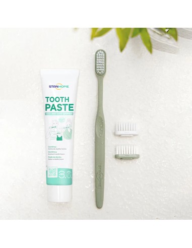 Medium Bristle Toothbrush Replacement Heads | Stanhome Shop Online