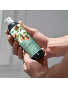 Cedar Shower Gel For Body & Hair | Stanhome Shop Online 2