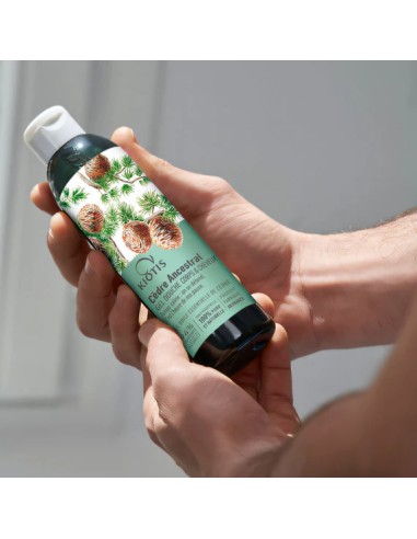Cedar Shower Gel For Body & Hair | Stanhome Shop Online