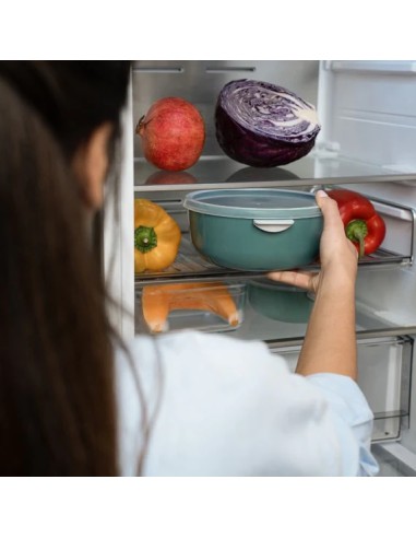 Food Container Large | Stanhome Shop Online