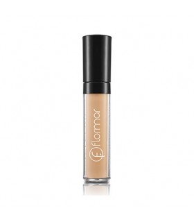 PERFECT COVERAGE LIQUID CONCEALER |STANHOME SHOP ONLINE